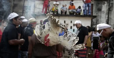 Ofrendas y sacrificios yorubas